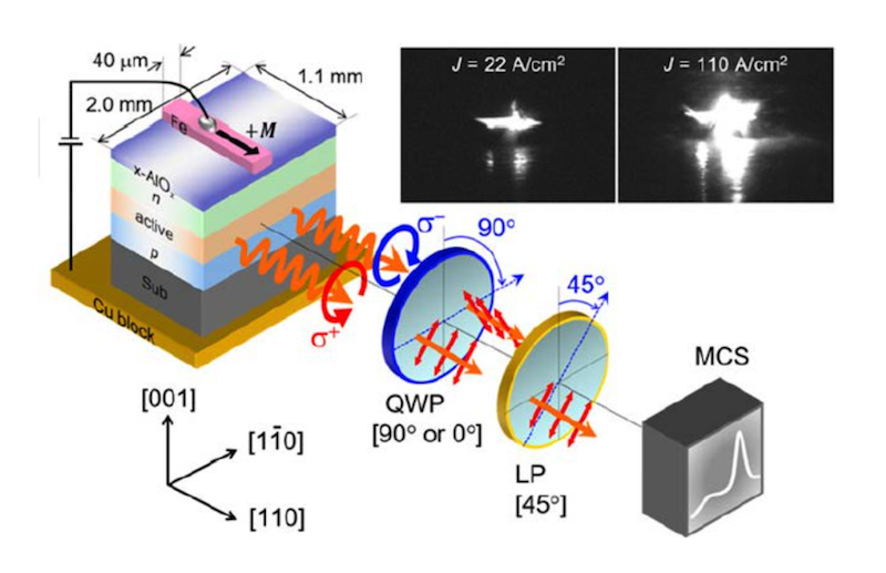 Tokyo Institute of Technology research finds surprising GaN LED spin behavior at room temp